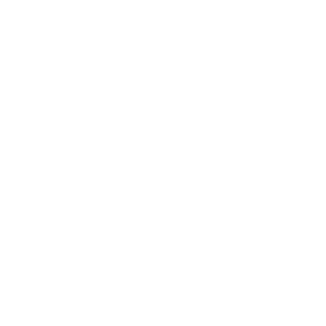 Button um weltweit Schaden zu melden